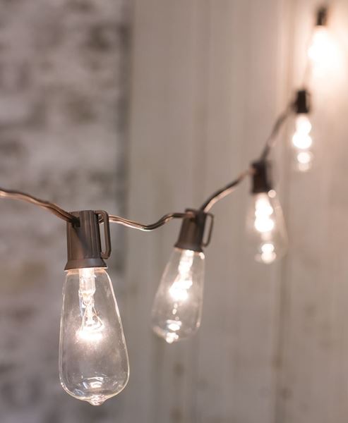 Clear Edison String Lights, 10 ct.