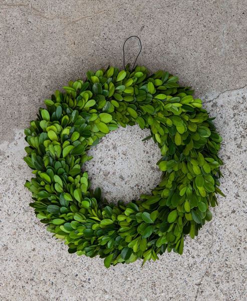 Boxwood Wreath, 11"