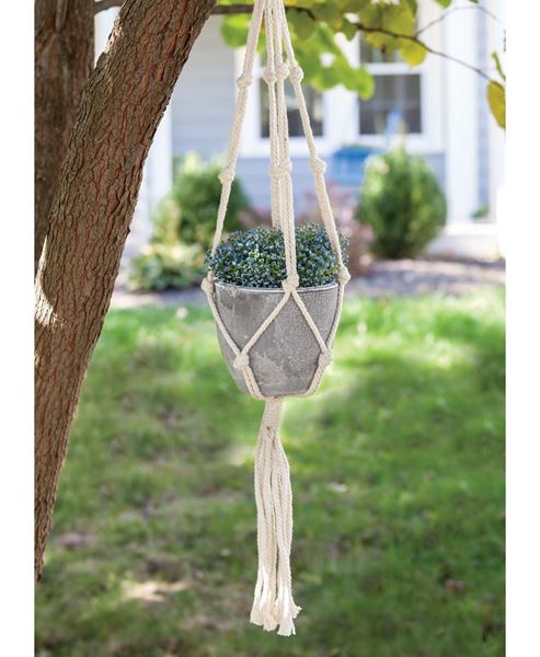 Picture of Macrame Hanger with Cement Pot