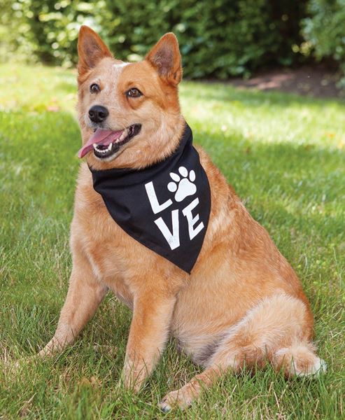 Picture of Love Paw Doggie Bandana