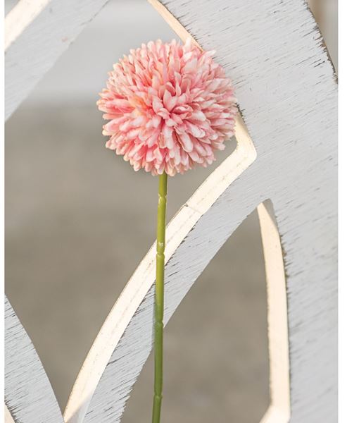 Picture of Pompom Stem, Blush