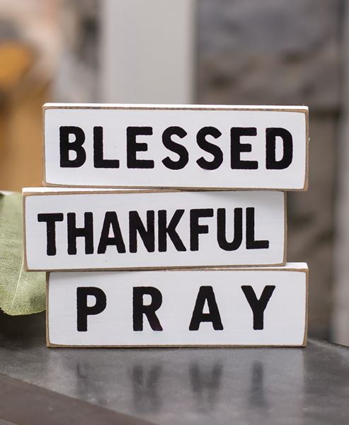 Picture of Thankful Thin Mini Blocks, 3 Asstd.