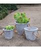 Picture of Cement Planter With Jute Handles, Medium