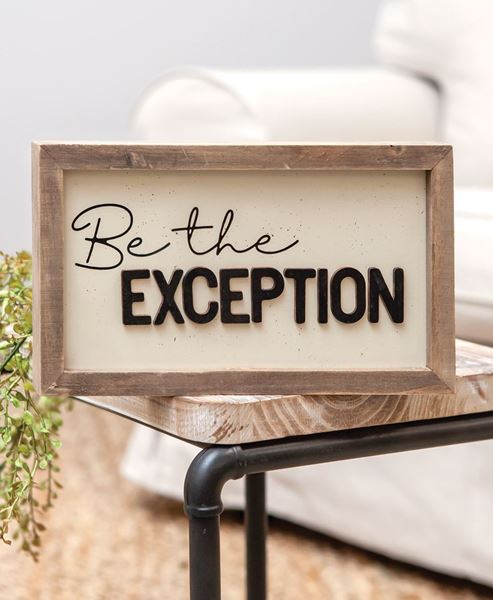 Picture of Be the Exception Frame