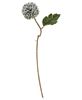 Picture of Pompom Flower Stem, 14", Blue