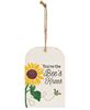 Picture of You're the Bee's Knees Sunflower & Bee Wooden Tag