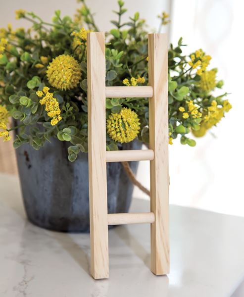 Picture of Mini Wooden Ladder, 3 Asstd.