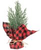 Picture of Mini Cedar Tree w/Red & Black Buffalo Check Base