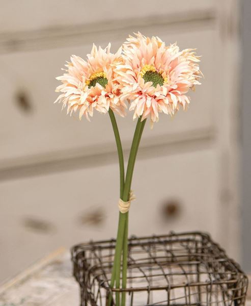 Picture of Triple Gerbera Daisy Bouquet, Peach