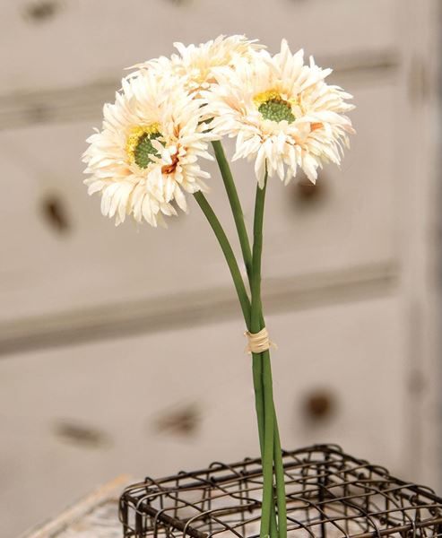 Picture of Triple Gerbera Daisy Bouquet, Cream Pink