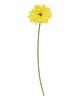 Picture of Gerbera Daisy Stem, Lemon Yellow