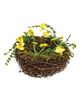 Picture of Vine & Moss Buttercup Bird Nest