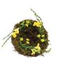 Picture of Vine & Moss Buttercup Bird Nest