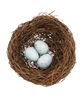 Picture of Vine Robin's Nest w/Blue Eggs