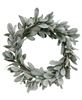 Picture of Frosted Lamb's Ear Wreath