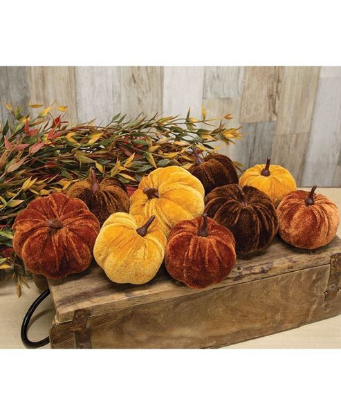 Picture of Velvet Harvest Pumpkins, 9/Bag