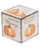 Picture of Count Your Blessings Pumpkin Cube