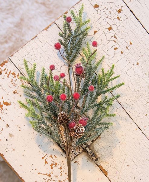 Picture of Mountain Pine w/ Berries Spray, 18 Inch